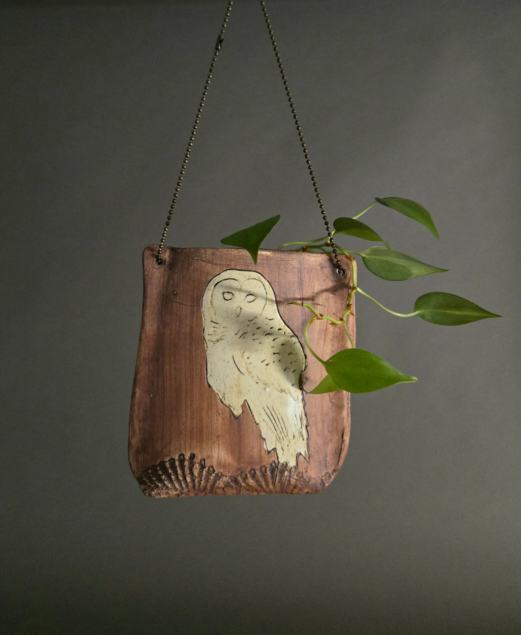 Merenda Cecelia, USA