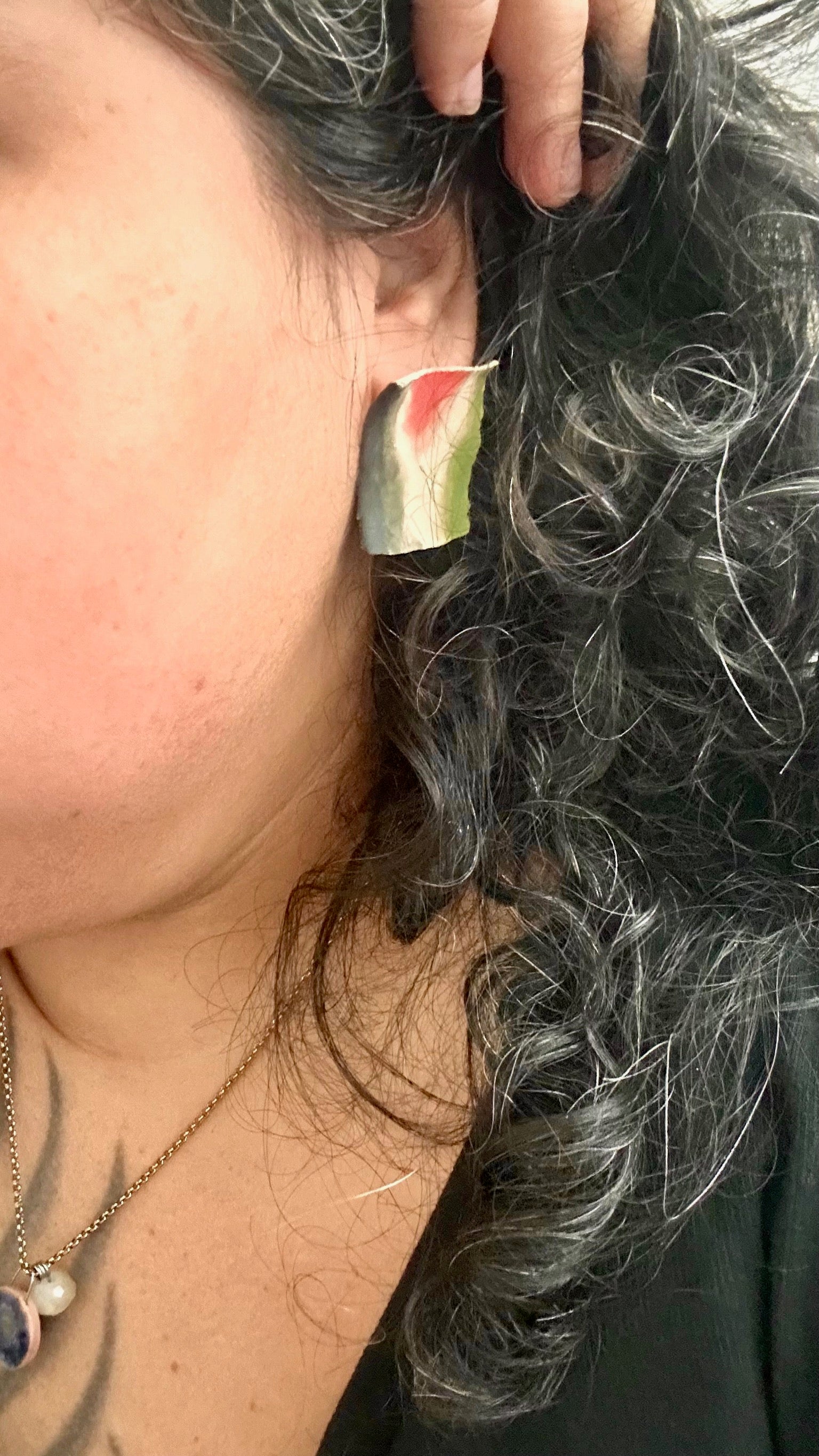 Zulmarí Quintana, US-PR