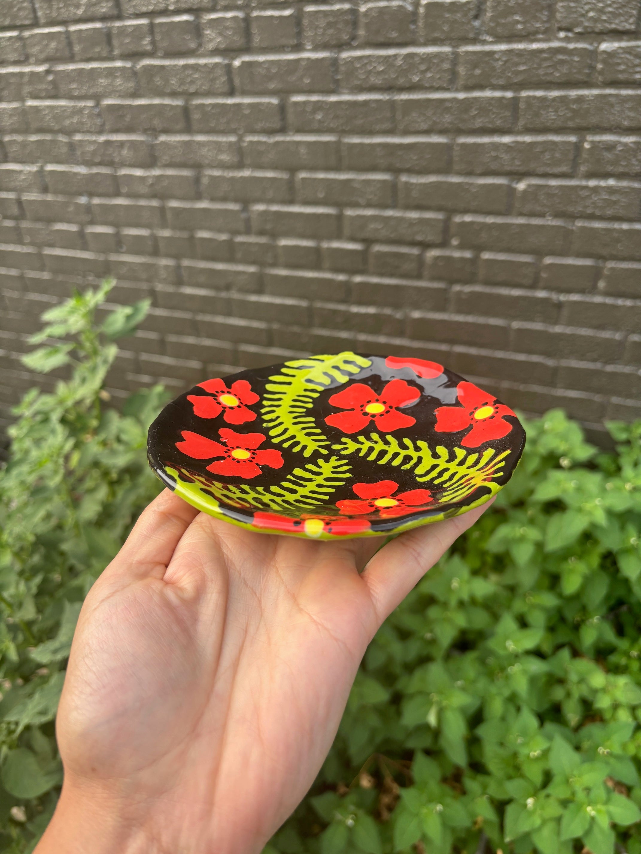 NYC Nature Drawing Club, USA