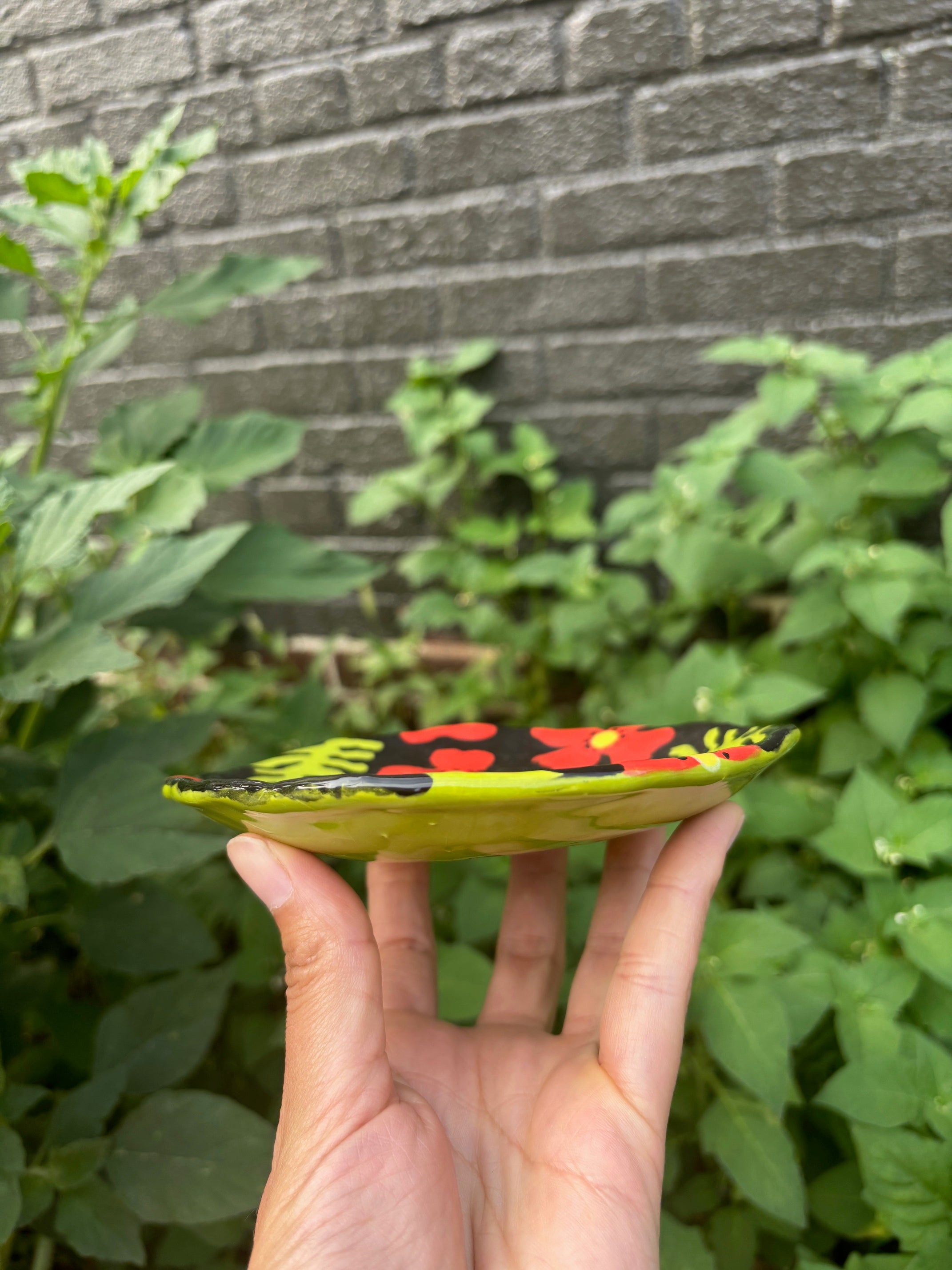 NYC Nature Drawing Club, USA