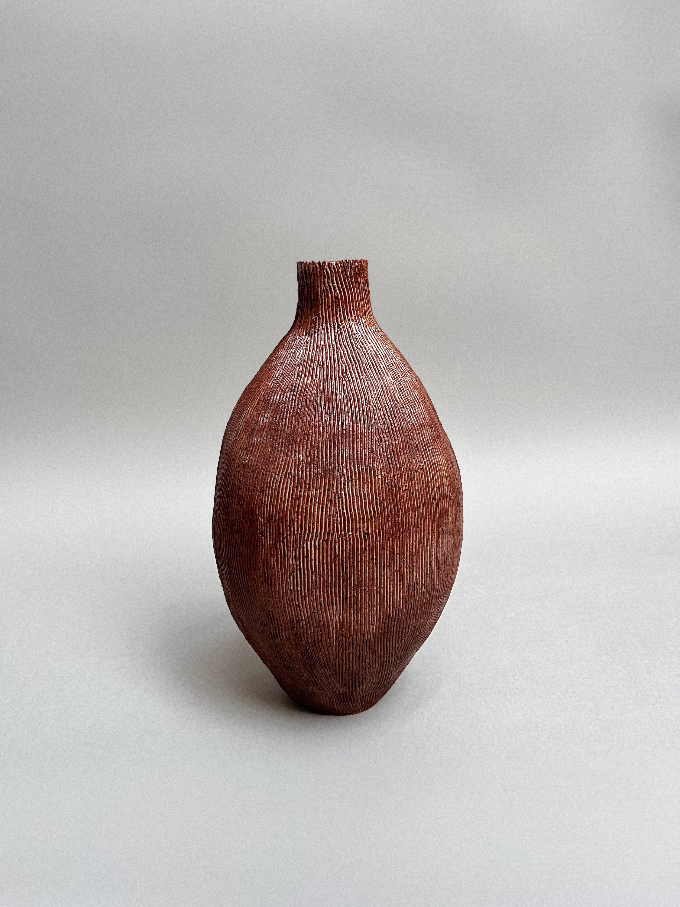 Studio Peloloca, USA