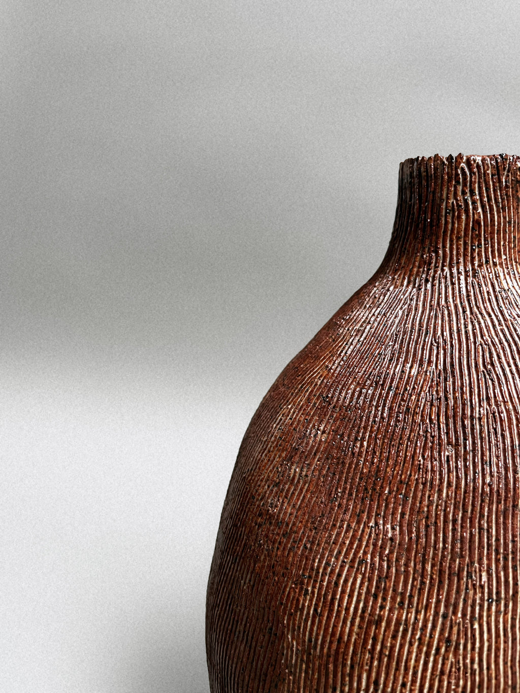 Studio Peloloca, USA