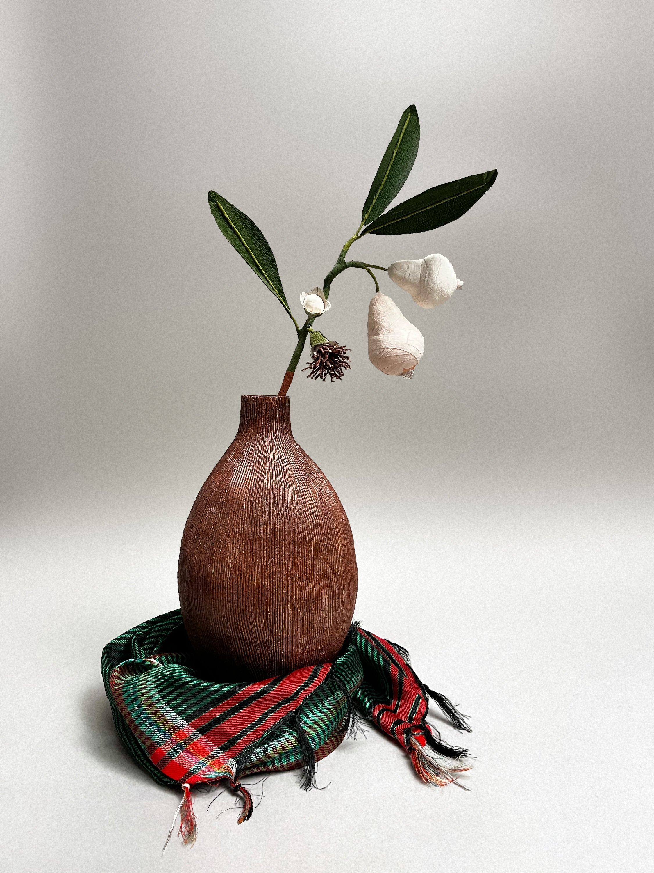 Studio Peloloca, USA