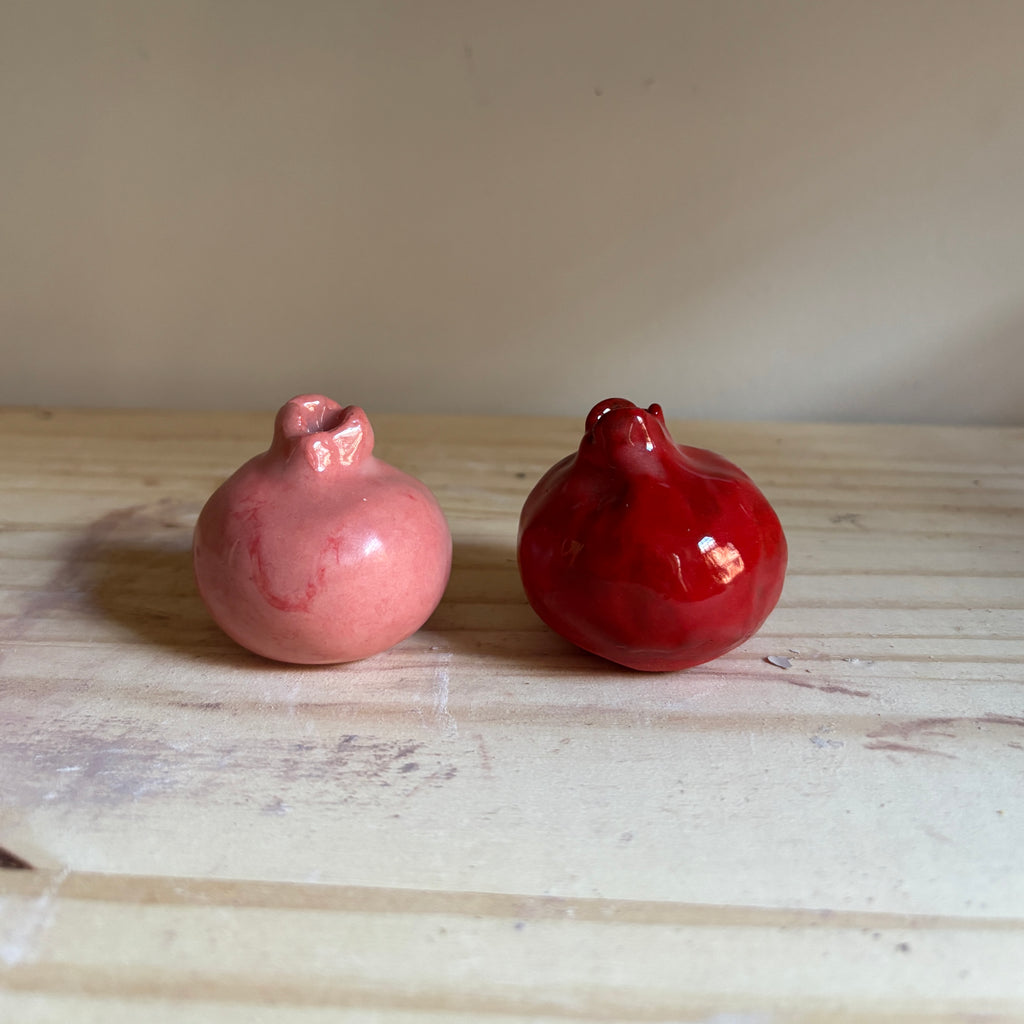 Misbah Ahmed, Canada