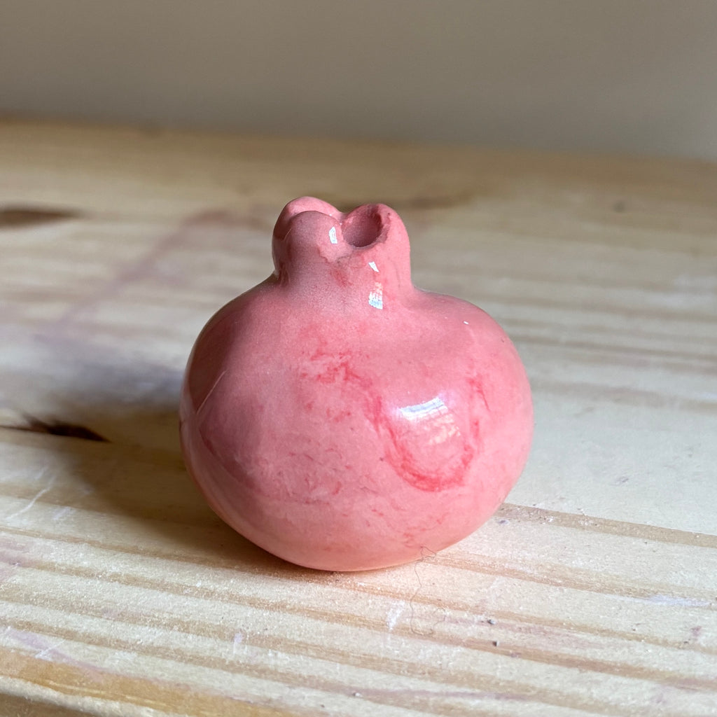 Misbah Ahmed, Canada