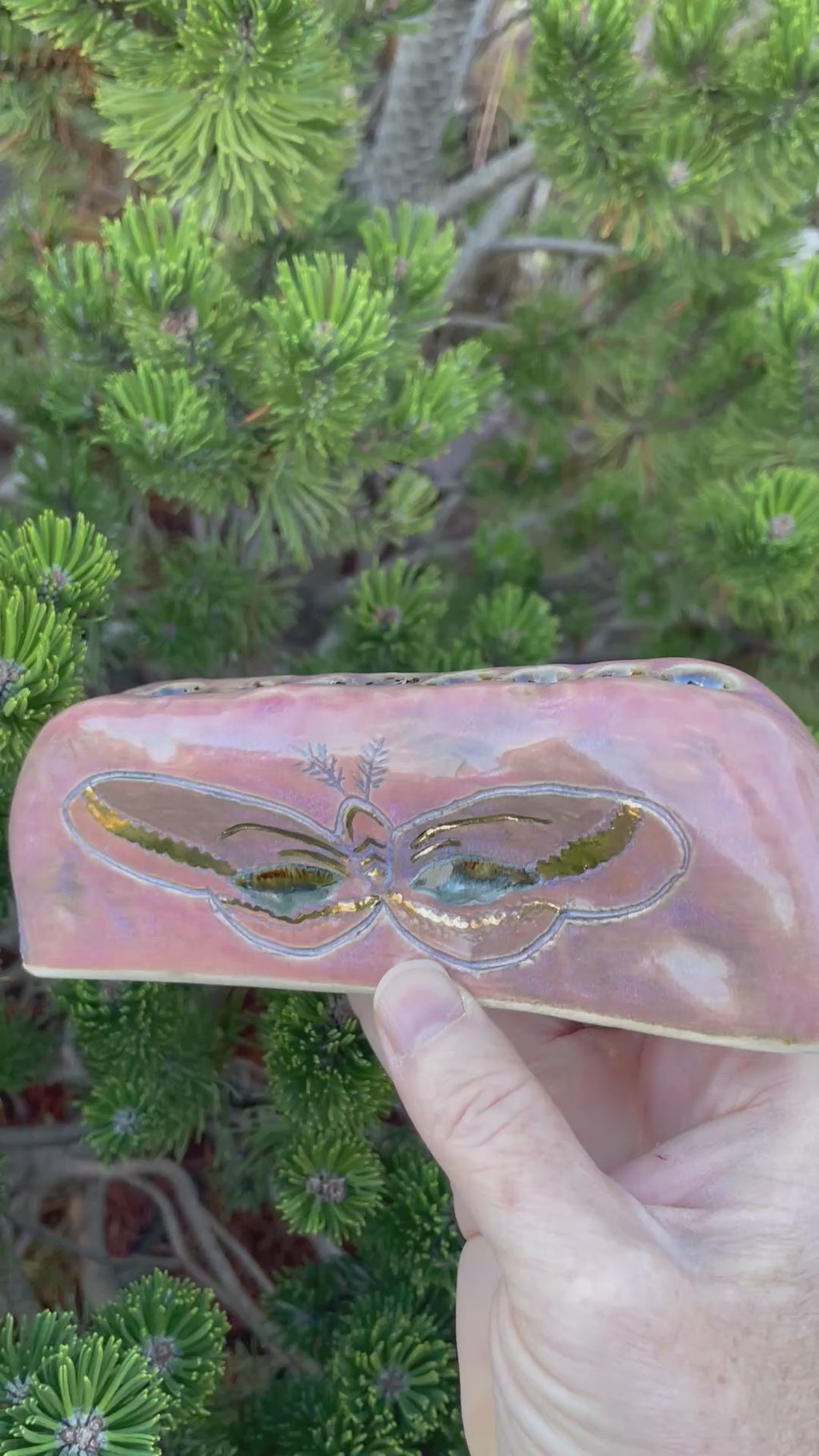 Cecilia Berkovic, CAN